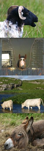 Zufallsbilder - denuwa Fotografie und Fotodesign